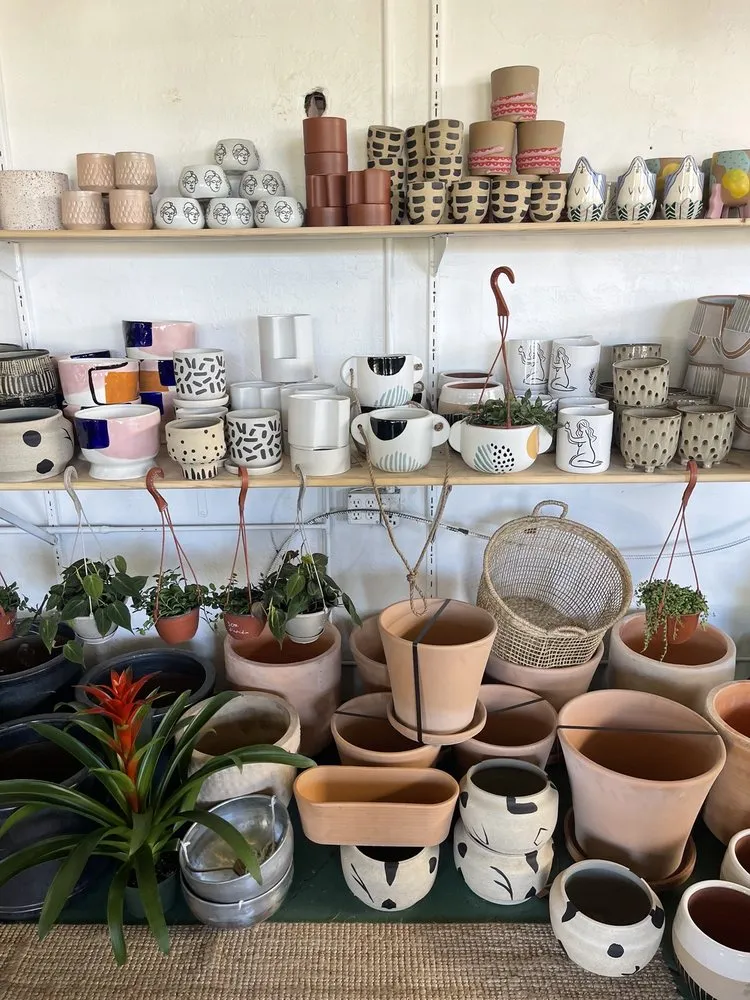 Top-rated lawn care service for outdoor upgrades across St. Petersburg, FL - Lida's Jungle