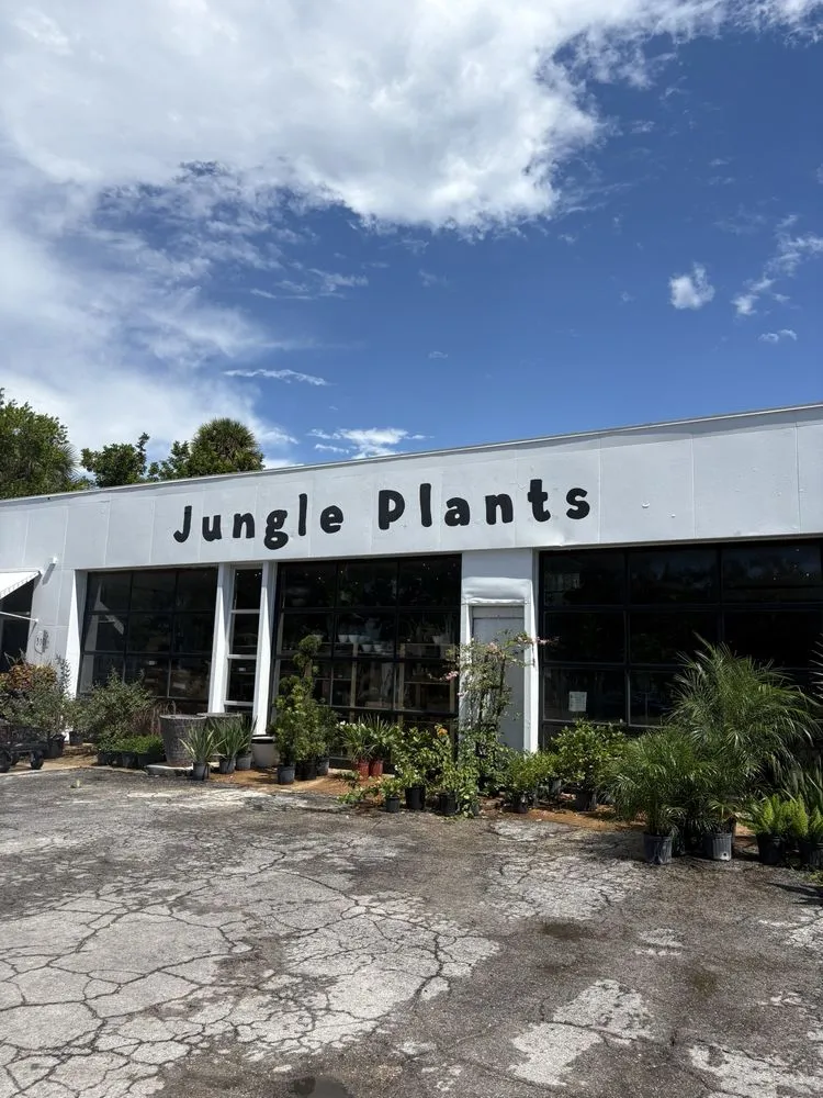 Local residential landscaping in St. Petersburg, FL - Lida's Jungle