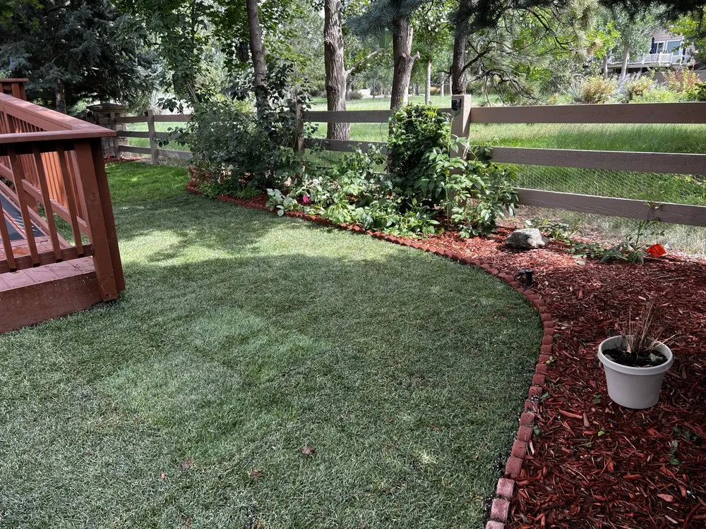 Expert yard maintenance for homes across Littleton, CO - LIDC Irrigation and Landscape
