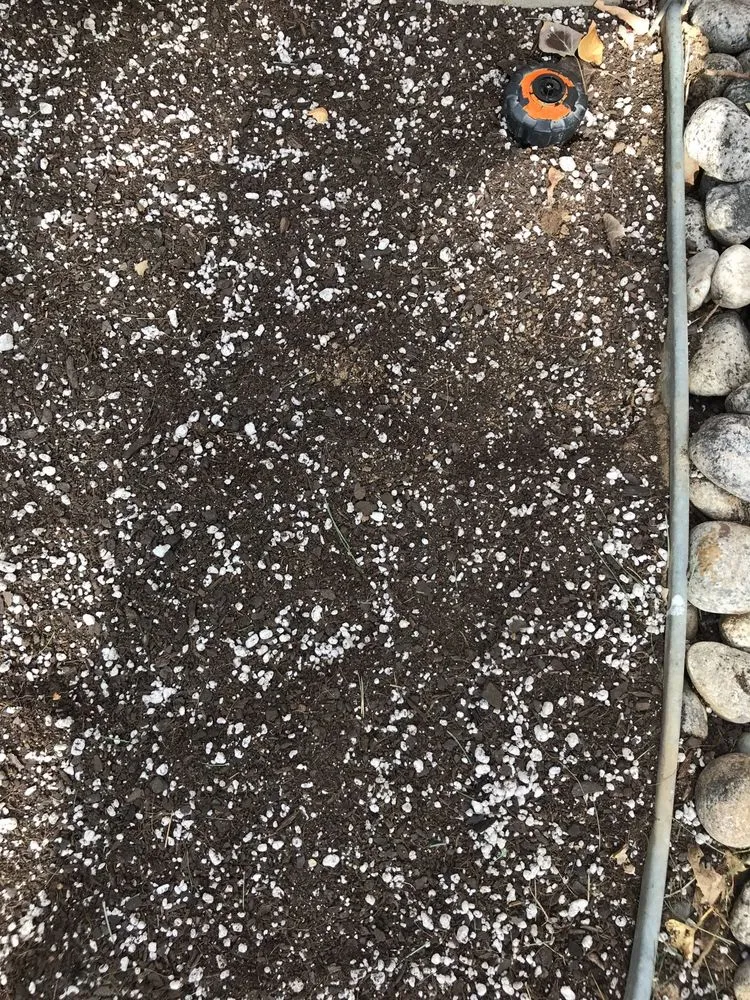 Custom yard maintenance for homes across Littleton, CO - LIDC Irrigation and Landscape