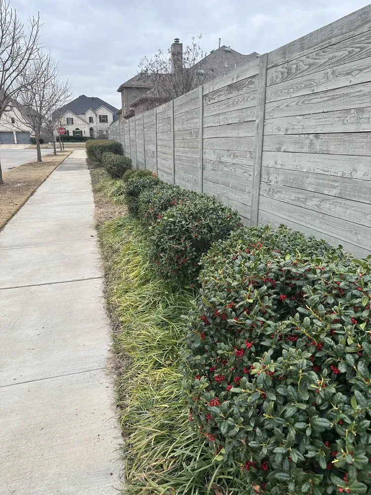 Professional landscape installation for homes in Corinth, TX by Lider Landscape