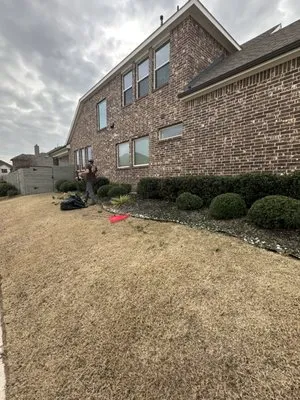 Lider Landscape Logo