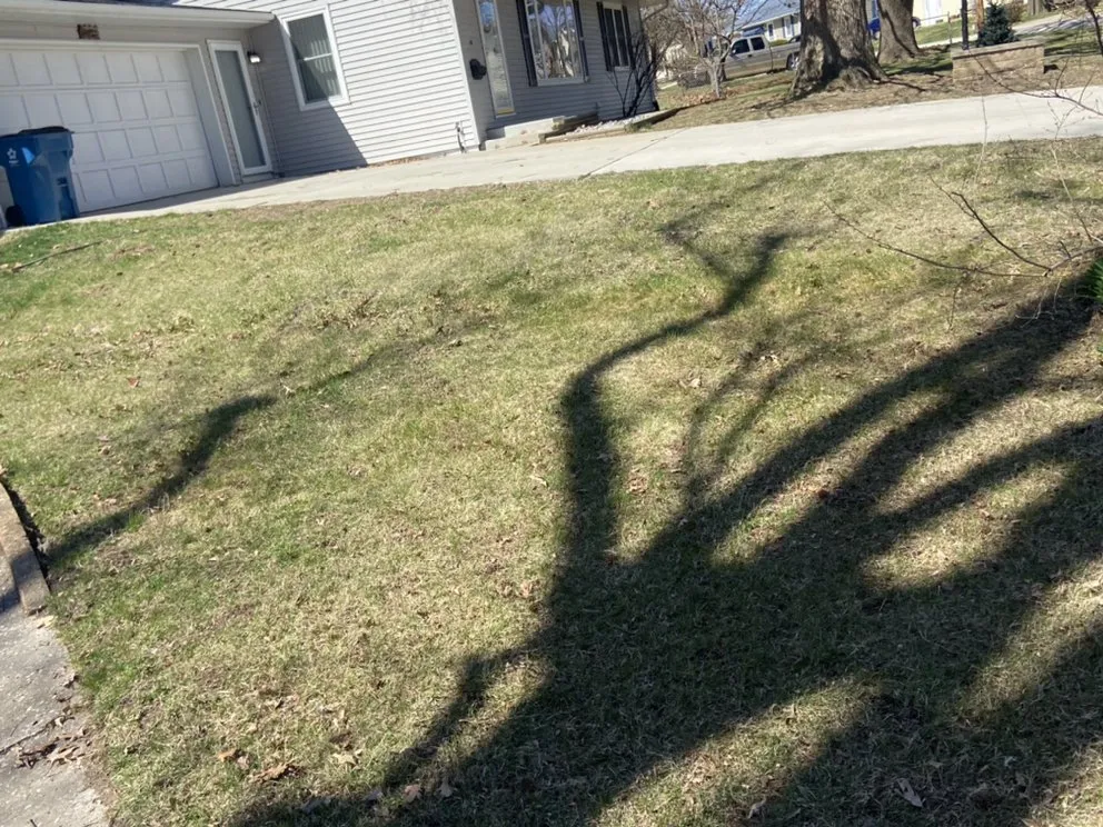 Local landscape installation for outdoor upgrades across Alton, IL - Lieder’s Lawn Care