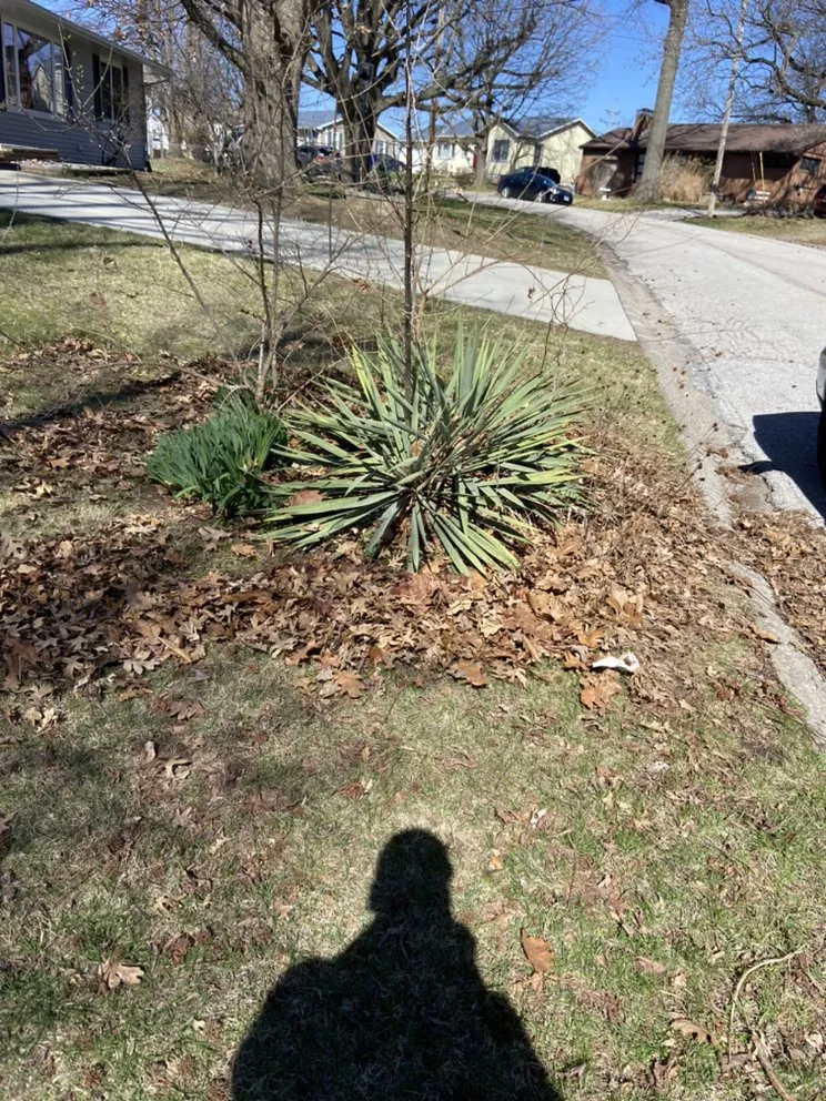 Top-rated residential landscaping in Alton, IL by Lieder’s Lawn Care