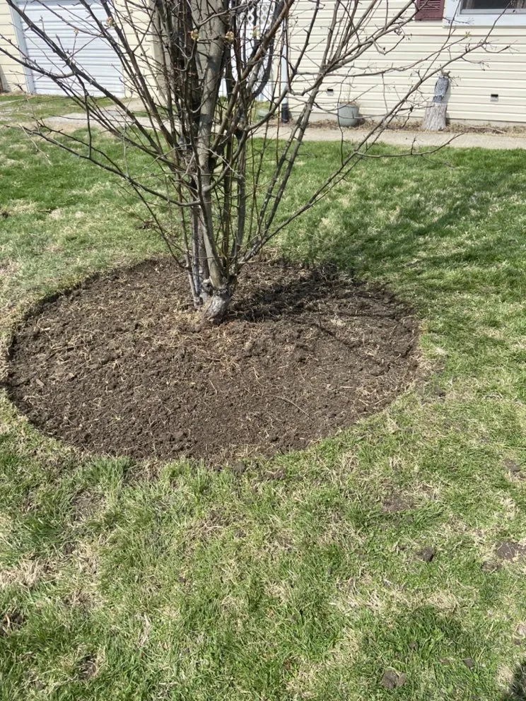 Expert landscape design for year-round maintenance across Alton, IL - Lieder’s Lawn Care