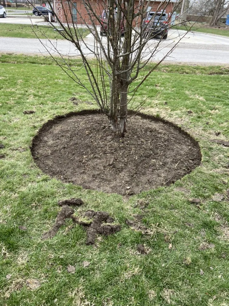 Expert landscape installation with custom design across Alton, IL - Lieder’s Lawn Care