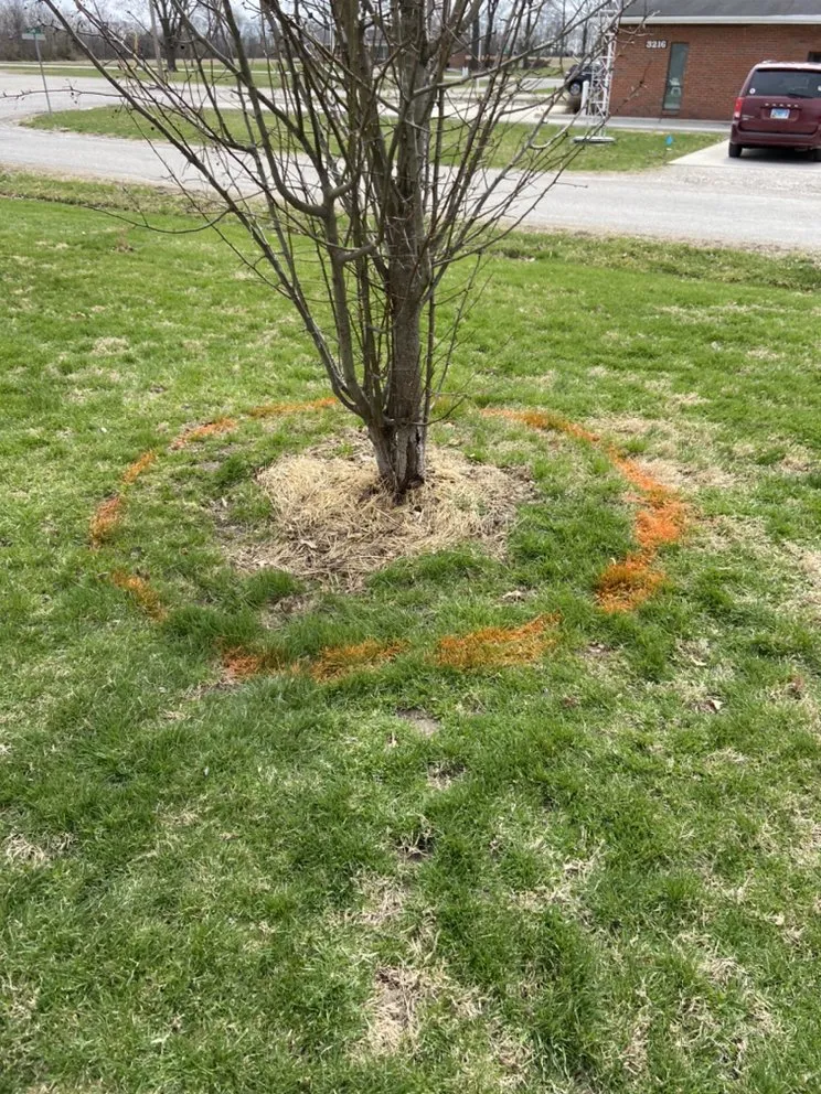 Local landscaping services for homes in Alton, IL by Lieder’s Lawn Care