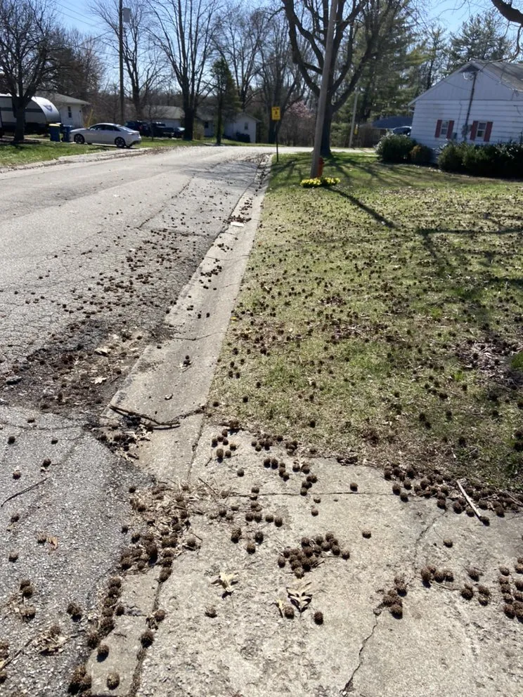 Top-rated yard maintenance with custom design across Alton, IL - Lieder’s Lawn Care