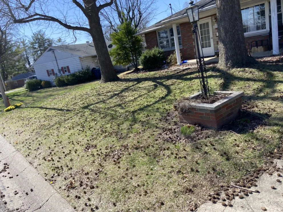 Local lawn mowing service for residential properties across Alton, IL - Lieder’s Lawn Care