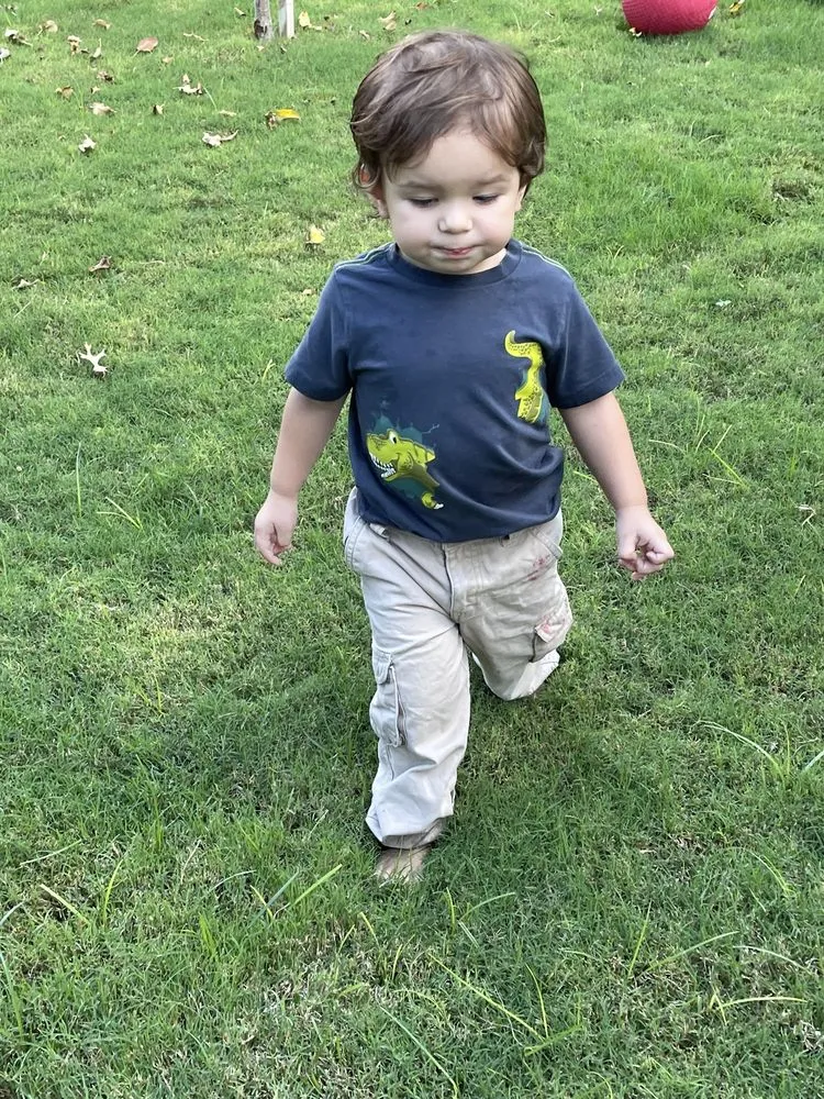 Trusted garden landscaping experts serving San Antonio, TX - Lierre Landscaping & Design