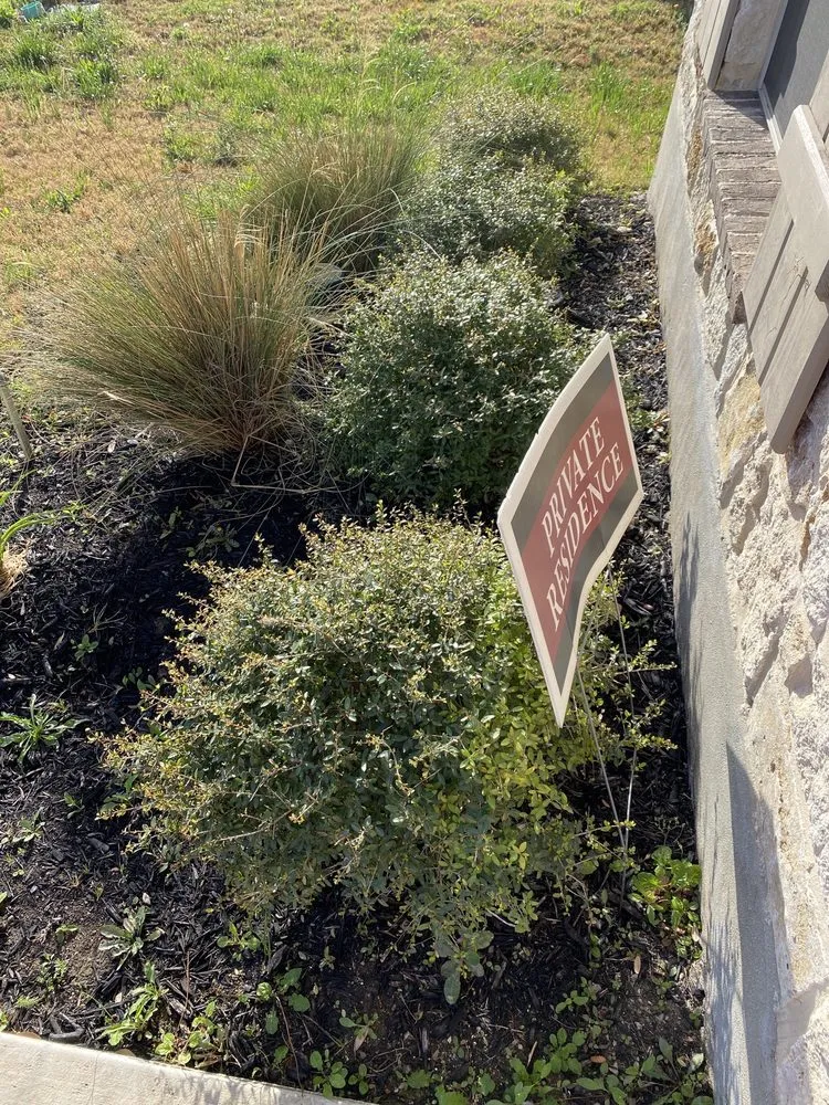 Professional landscape design in San Antonio, TX by Lierre Landscaping & Design
