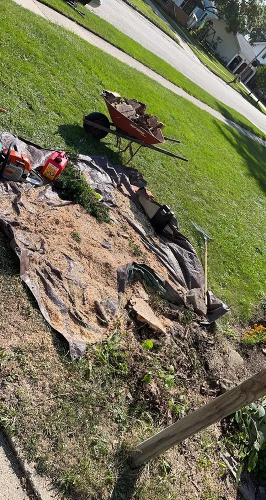 Professional yard cleanup service experts serving Oshkosh, WI - Lietz Lawn Tree and Snow