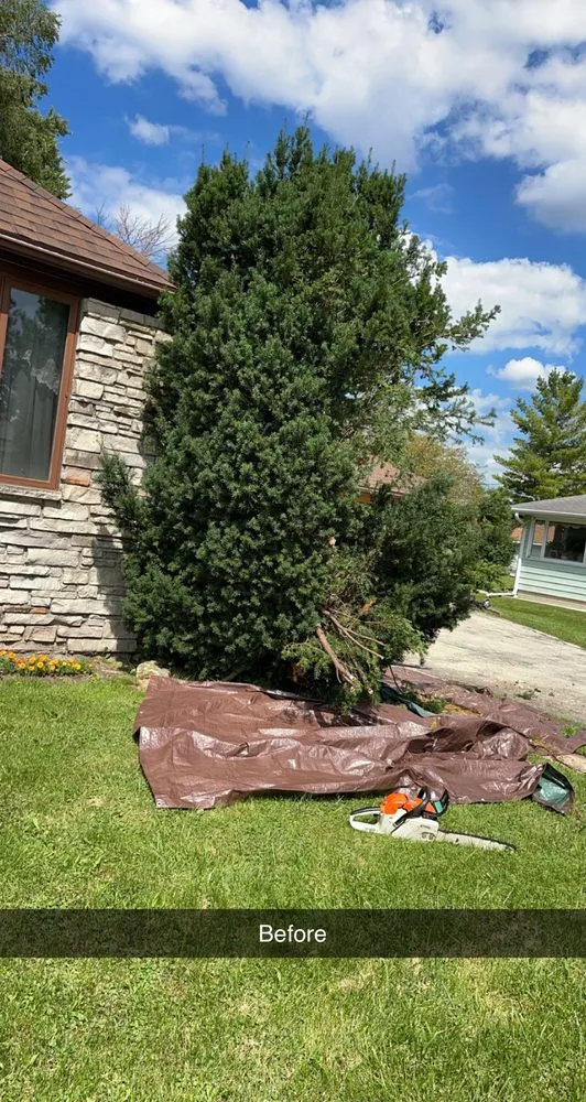Local landscape installation experts serving Oshkosh, WI - Lietz Lawn Tree and Snow