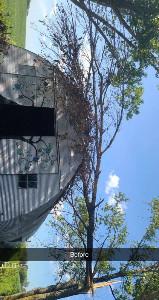 Reliable landscape design for year-round maintenance in Oshkosh, WI by Lietz Lawn Tree and Snow