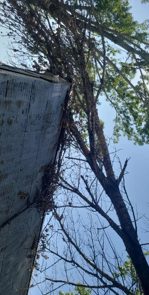 Professional garden landscaping in Oshkosh, WI by Lietz Lawn Tree and Snow