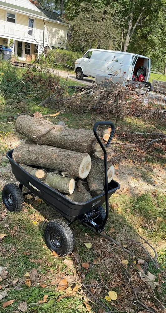 Top-rated landscaping services for beautiful yards across Oshkosh, WI - Lietz Lawn Tree and Snow