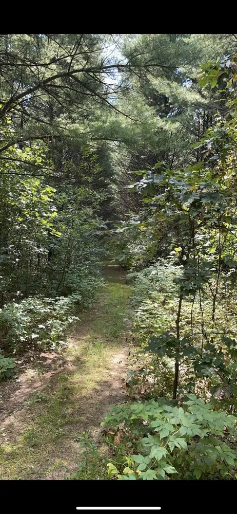 Affordable yard cleanup service for beautiful yards across Oshkosh, WI - Lietz Lawn Tree and Snow