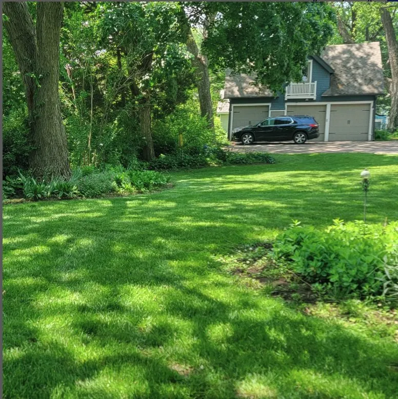 Local yard cleanup service in St. Joseph, MO by Lievore Lawn & Home Services