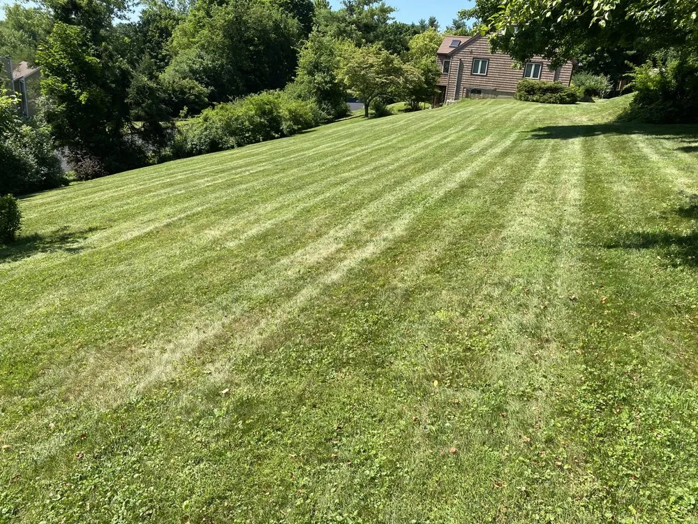 Professional yard cleanup service in Middletown, CT - Life 1122