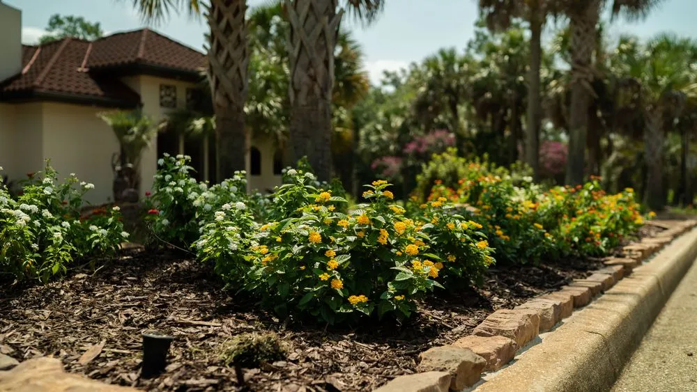 Affordable outdoor landscaping for year-round maintenance across Mobile, AL - Life Enterprises