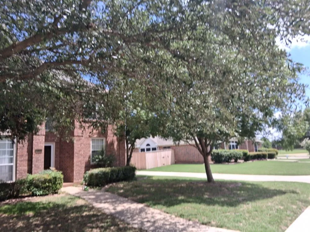 Reliable garden landscaping near you in Allen, TX by Life Fount Landscaping