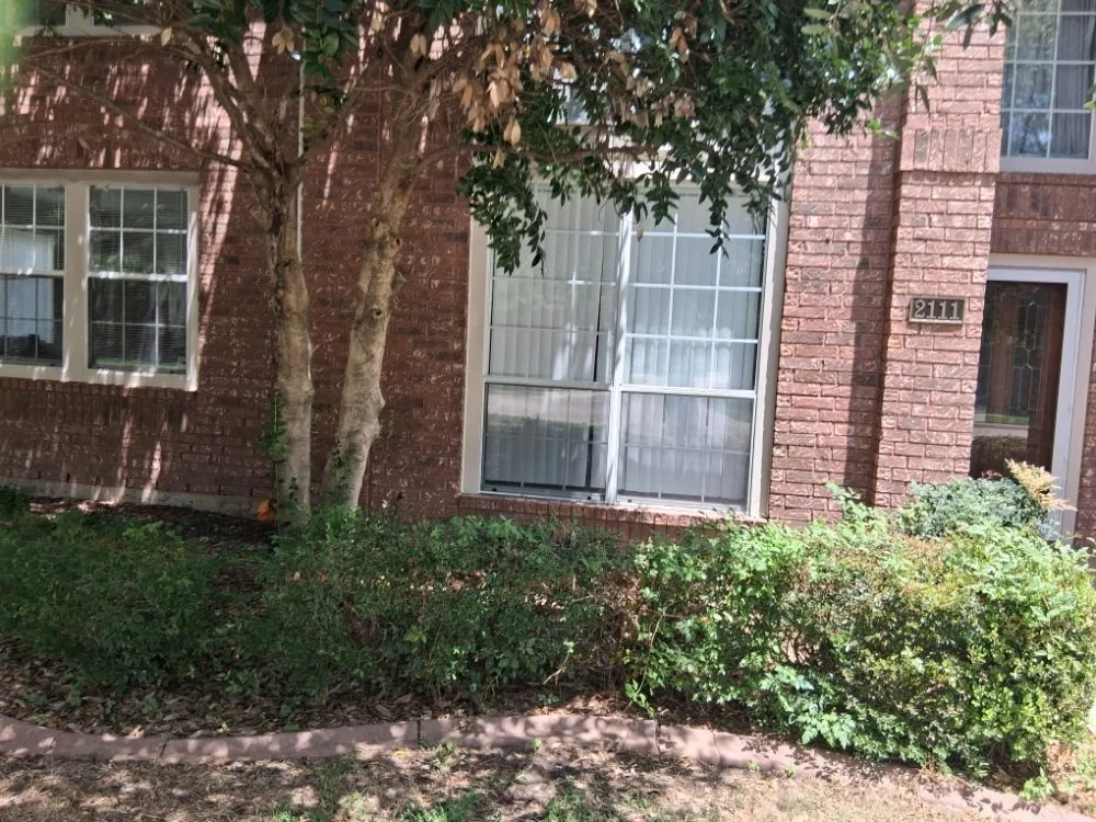 Professional outdoor landscaping experts serving Allen, TX - Life Fount Landscaping