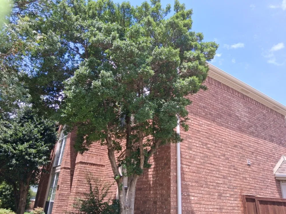 Professional landscaping services in Allen, TX by Life Fount Landscaping