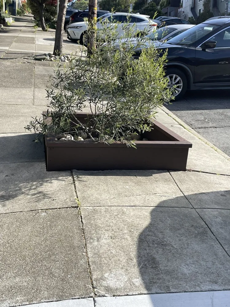 Local landscaping services in San Francisco, CA - Life Garden