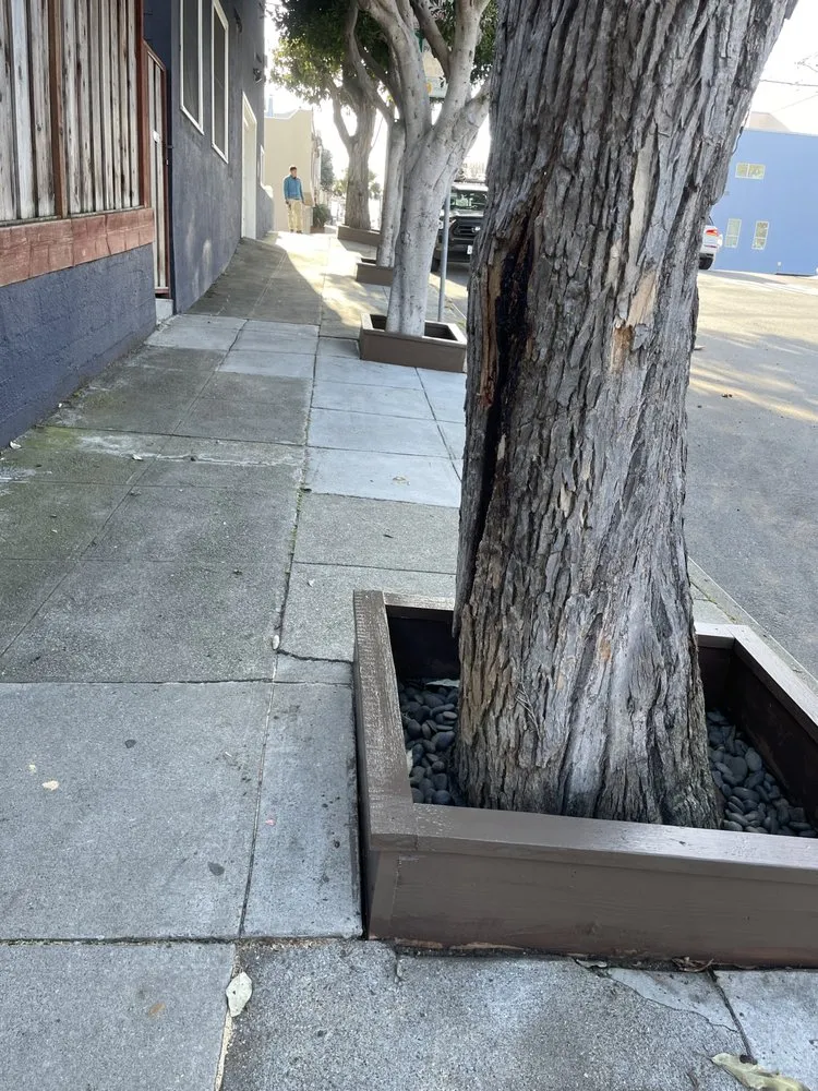 Reliable landscape design experts serving San Francisco, CA - Life Garden