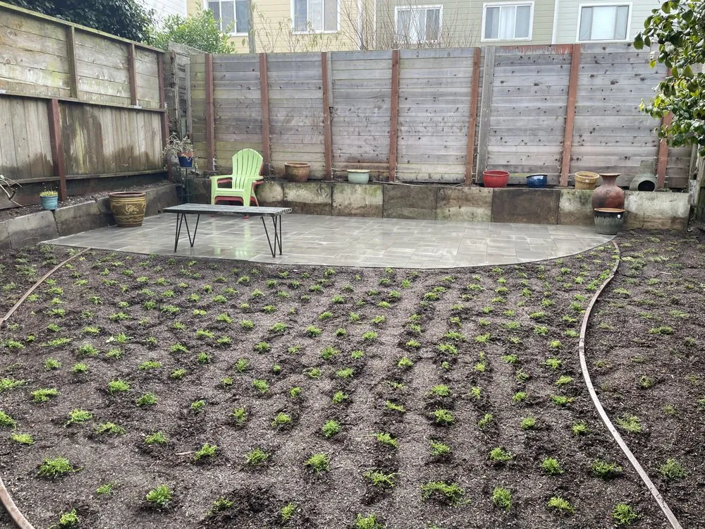 Reliable yard maintenance in San Francisco, CA by Life Garden