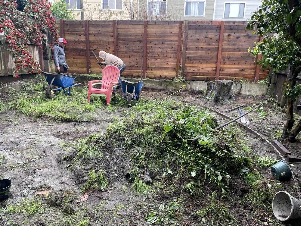 Affordable residential landscaping for residential properties across San Francisco, CA - Life Garden