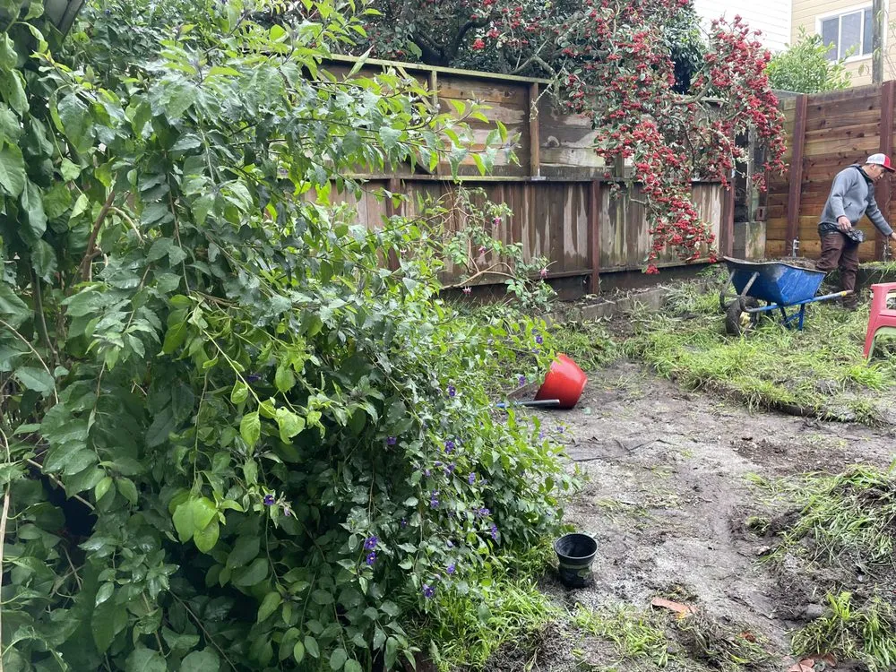 Expert lawn care service near you across San Francisco, CA - Life Garden