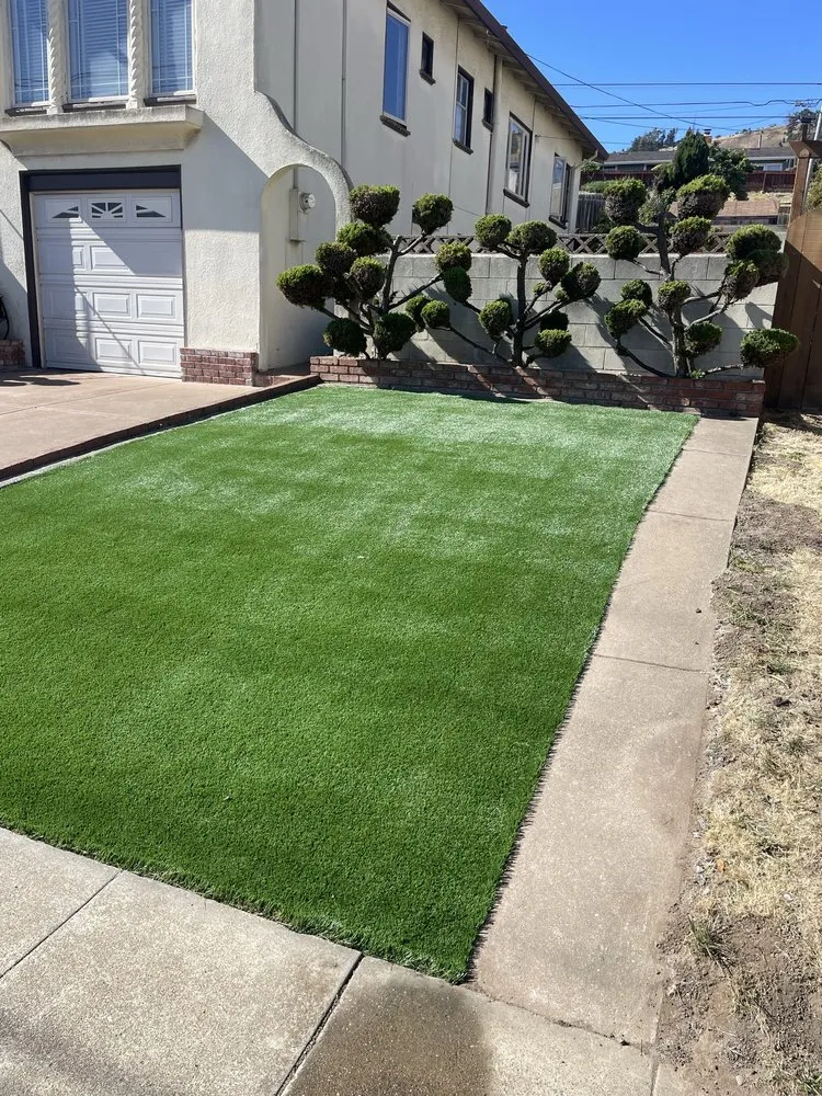 Local landscape installation experts serving San Francisco, CA - Life Garden