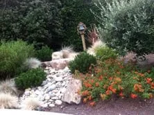 Custom lawn mowing service for outdoor upgrades across Redwood City, CA - Life Gardens