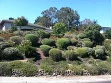 Top-rated lawn mowing service near you across Redwood City, CA - Life Gardens