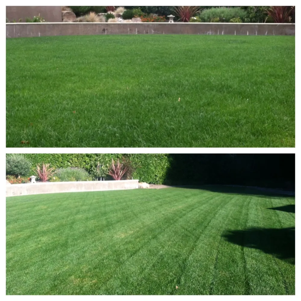 Professional landscape installation with custom design in Redwood City, CA by Life Gardens