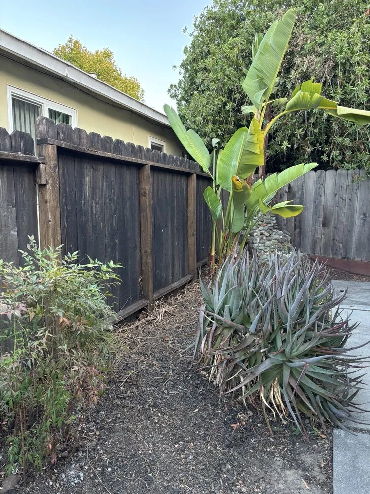 Affordable landscaping services for beautiful yards in Redwood City, CA by Life Gardens
