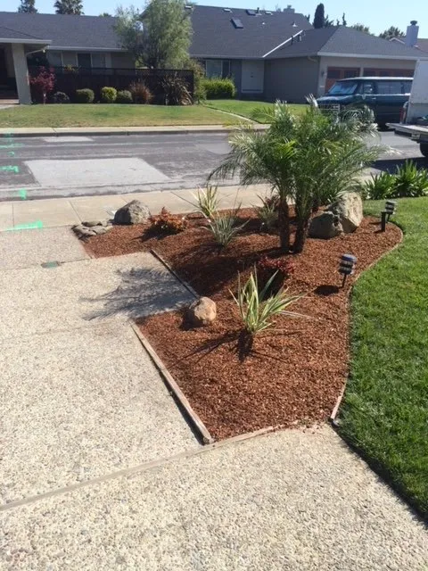 Trusted lawn care service in Redwood City, CA - Life Gardens