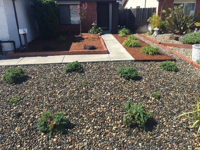 Reliable landscaping services for beautiful yards across Redwood City, CA - Life Gardens