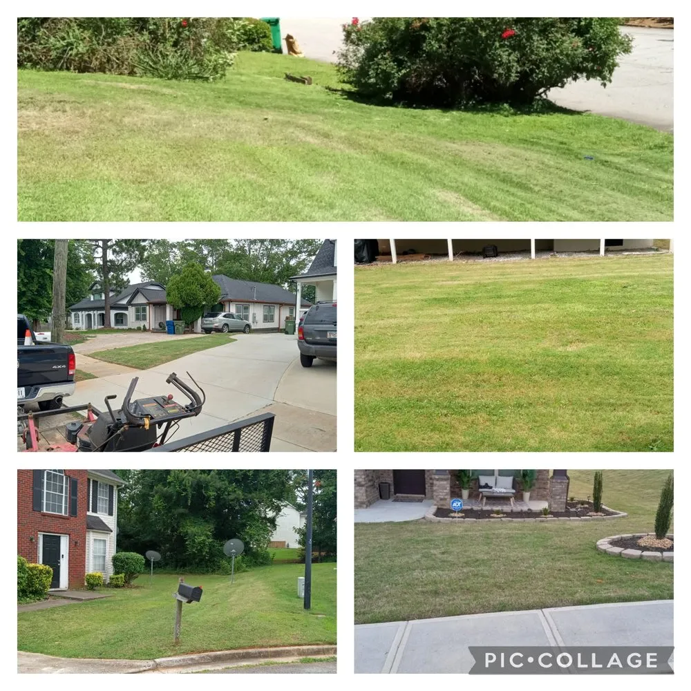 Expert lawn care service experts serving Atlanta, GA - Life global connections