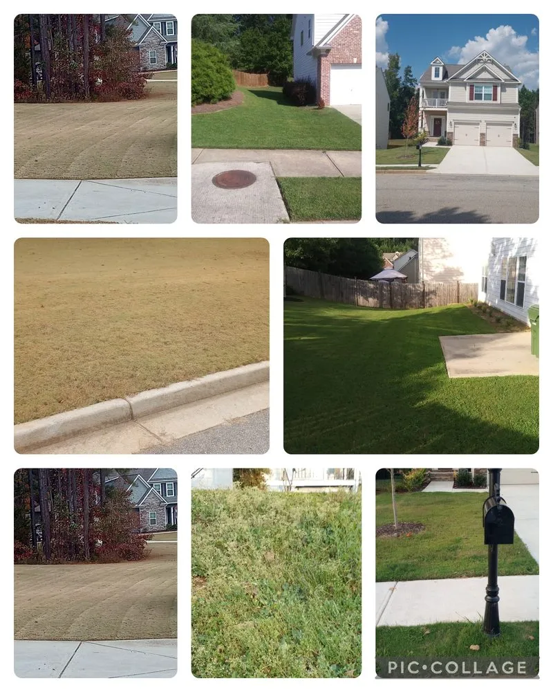 Trusted garden landscaping in Atlanta, GA by Life global connections