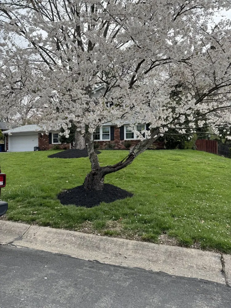 Affordable lawn mowing service for beautiful yards in Gaithersburg, MD by Life Is Green