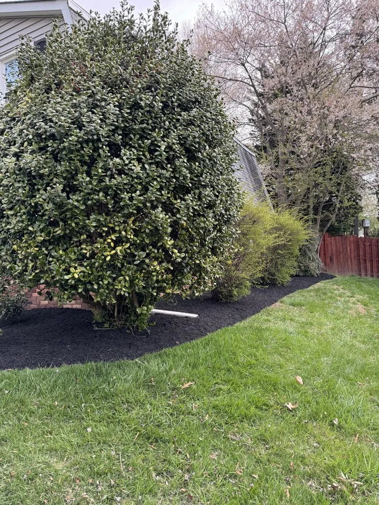 Local landscape design in Gaithersburg, MD - Life Is Green