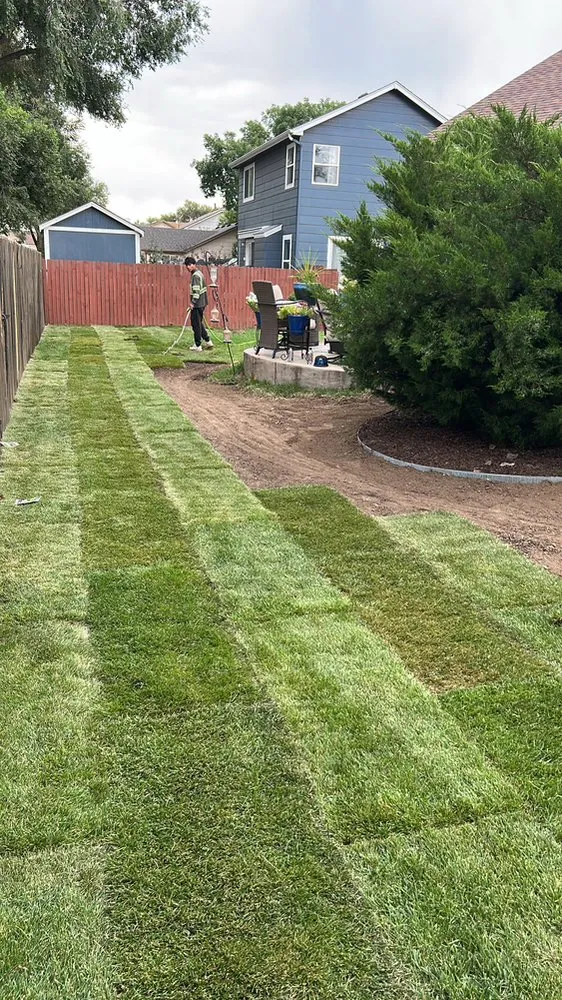Reliable lawn care service for year-round maintenance across Colorado Springs, CO - Life Landscaping