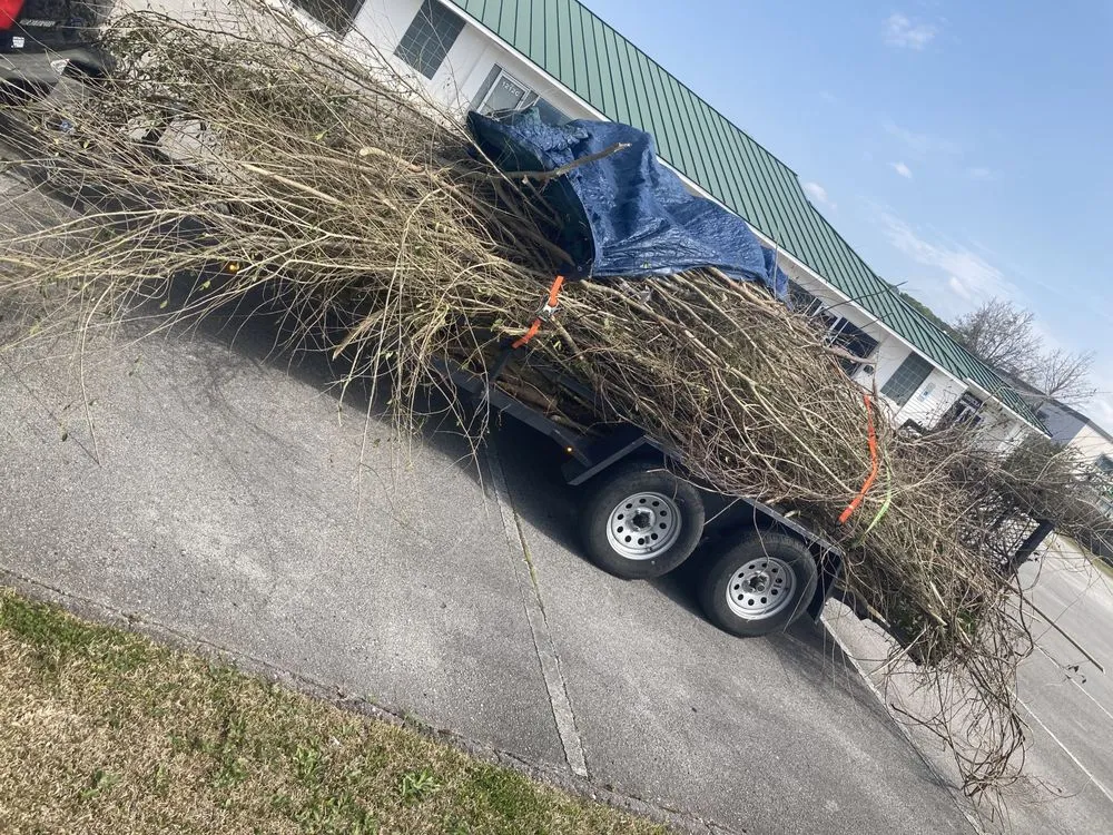 Top-rated landscape design in Jacksonville, NC by Life Learned Lesson