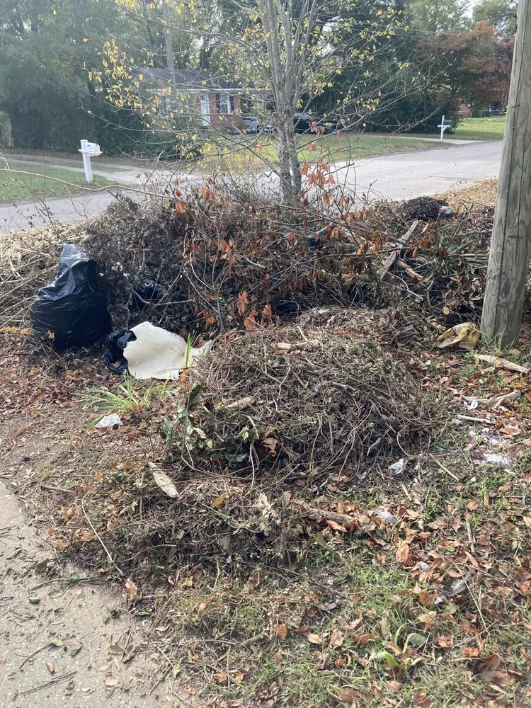 Top-rated yard maintenance experts serving Jacksonville, NC - Life Learned Lesson