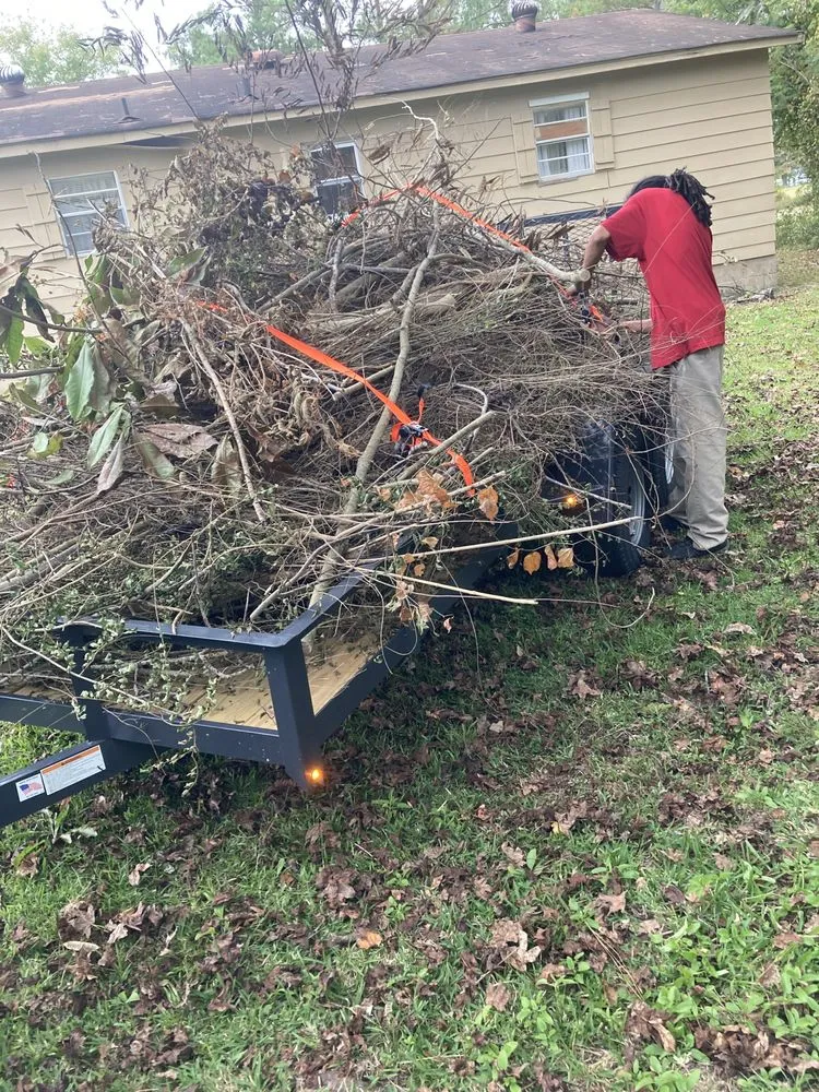 Top-rated yard cleanup service in Jacksonville, NC - Life Learned Lesson