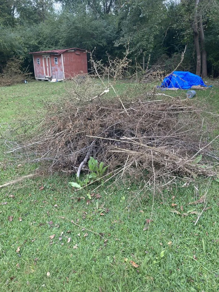 Reliable garden landscaping in Jacksonville, NC - Life Learned Lesson