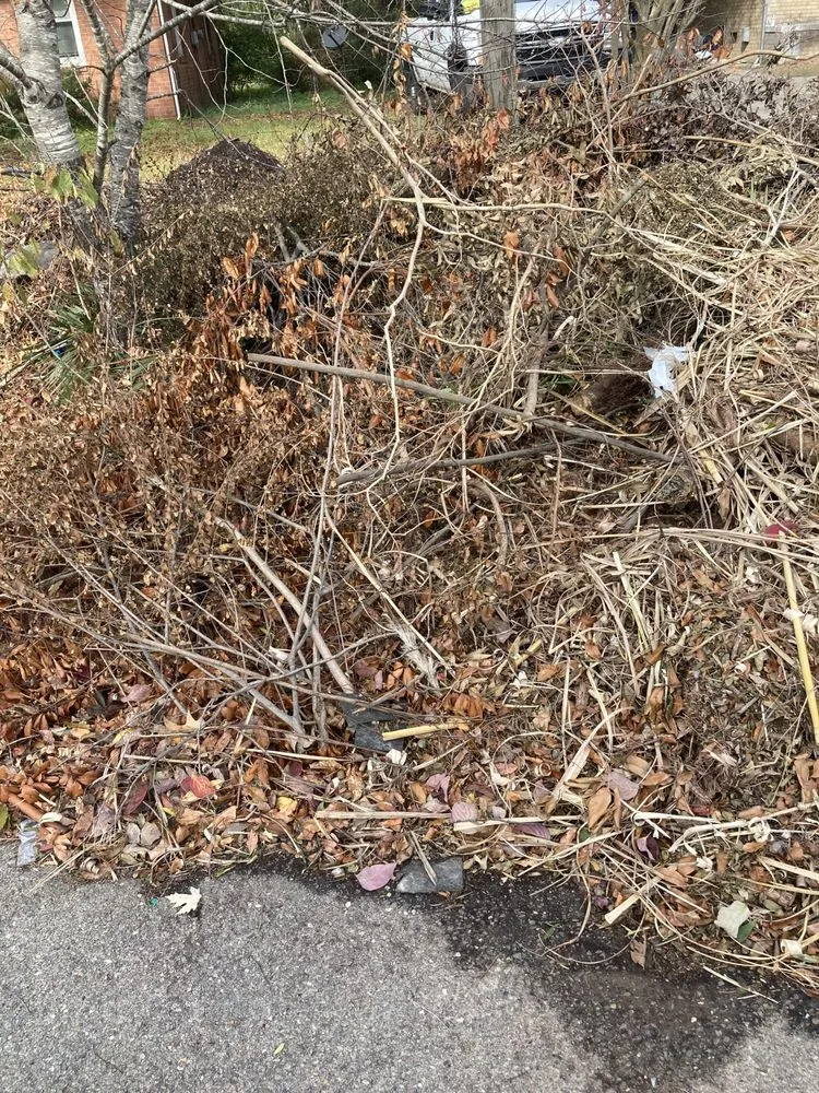 Top-rated landscape installation for beautiful yards across Jacksonville, NC - Life Learned Lesson