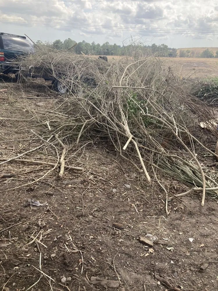 Reliable garden landscaping in Jacksonville, NC by Life Learned Lesson